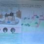 St Columba's, Essendon, Year 7